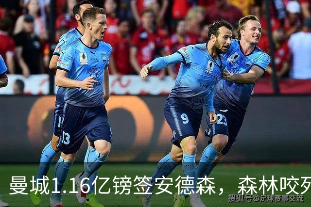 曼城1.16亿镑签安德森，森林咬死现金支付，创英球员转会纪录